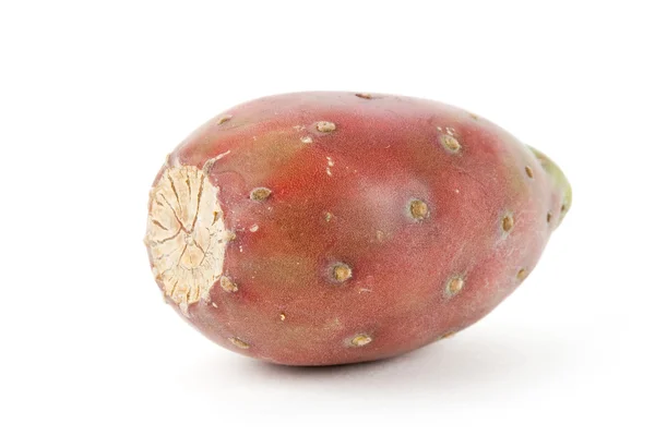 Cactus frukt — Stockfoto