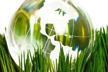 Globe and green grass clipart