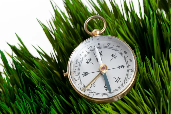 Kompass und grünes Gras — Stockfoto