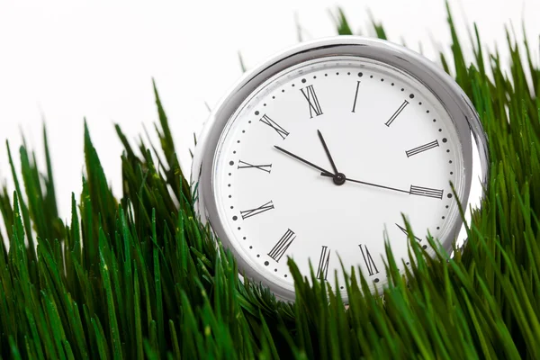 Часы и зеленая трава — стоковое фото