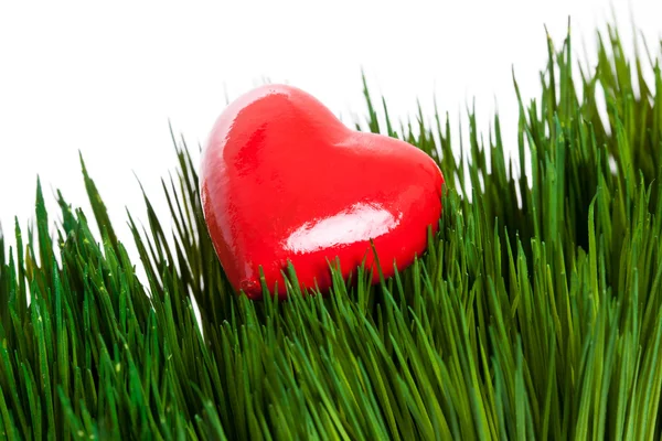 Kırmızı kalp ve yeşil çimen — Stok fotoğraf