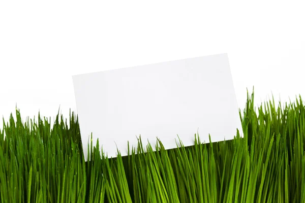 Επαγγελματική κάρτα και πράσινο γρασίδι — Φωτογραφία Αρχείου