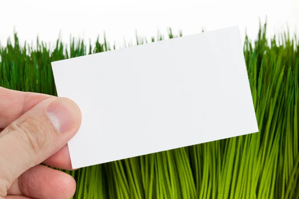 Visitekaartje en groen gras — Stockfoto