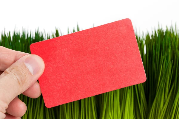 Business Card and green grass — Stock Photo, Image