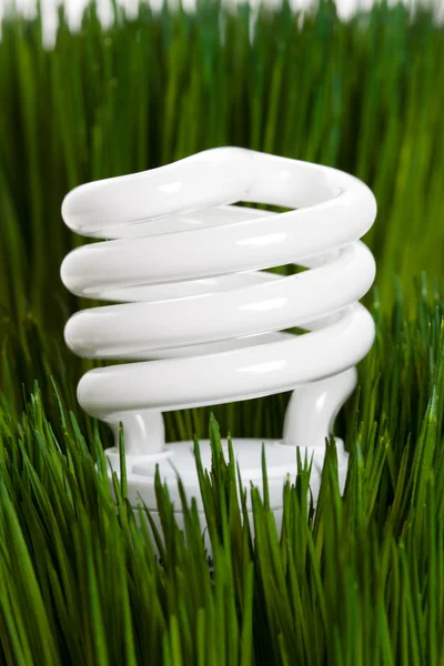 stock image Compact Fluorescent Lightbulb