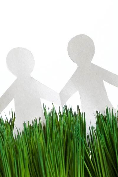 Green grass and Paper Chain men — Stock Photo, Image