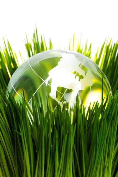 Globe and green grass — Stock Photo, Image