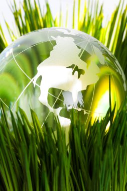 Globe and green grass clipart