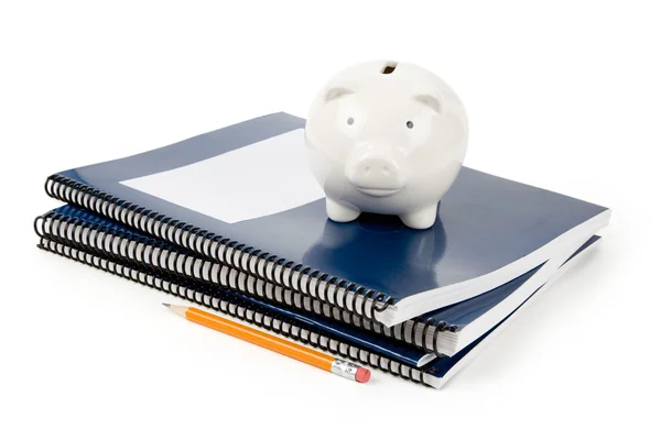 蓝色学校教科书和猪存钱罐 — 图库照片
