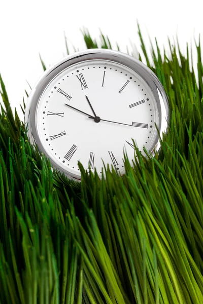 Часы и зеленая трава — стоковое фото