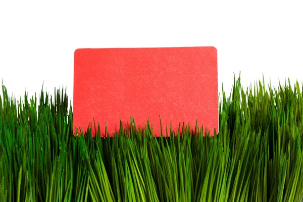 Cartão de visita e grama verde — Fotografia de Stock