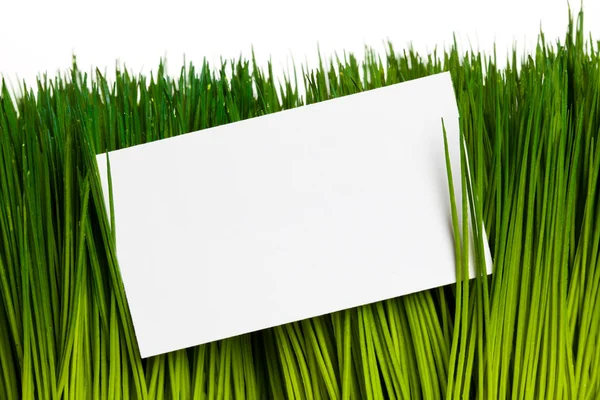 Visitekaartje en groen gras — Stockfoto