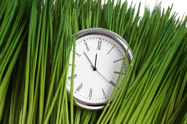 Zegar i trawa zielona — Zdjęcie stockowe