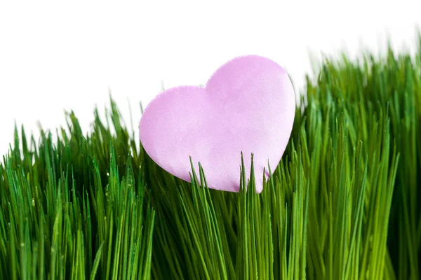 ピンクのハートと緑の草 — ストック写真