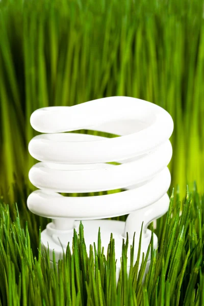 Stock image Compact Fluorescent Lightbulb