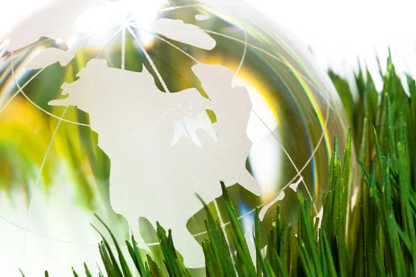 Globe en groen gras — Stockfoto