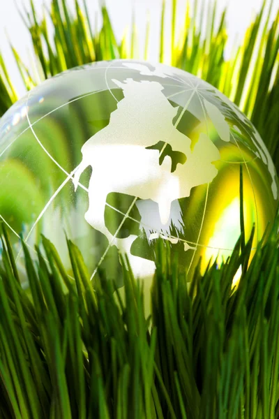 Globe and green grass — Stock Photo, Image