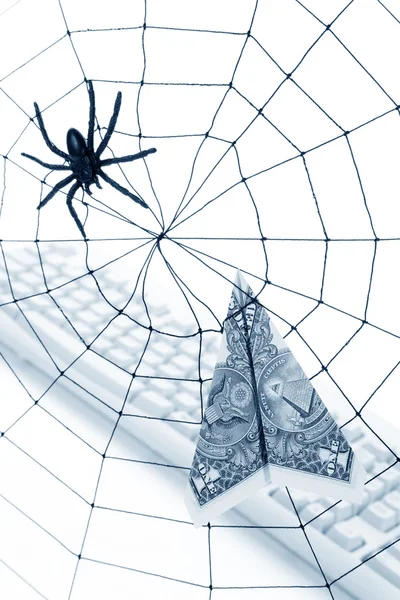 蜘蛛网和美元 — 图库照片#