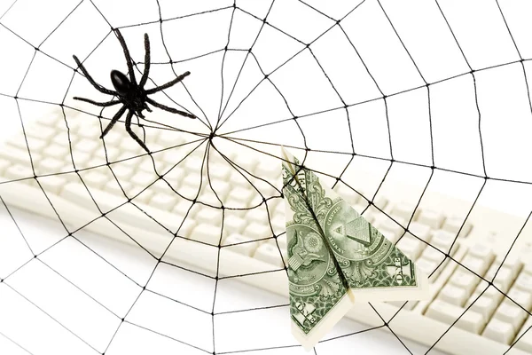 Spinnenweb en dollar Stockafbeelding