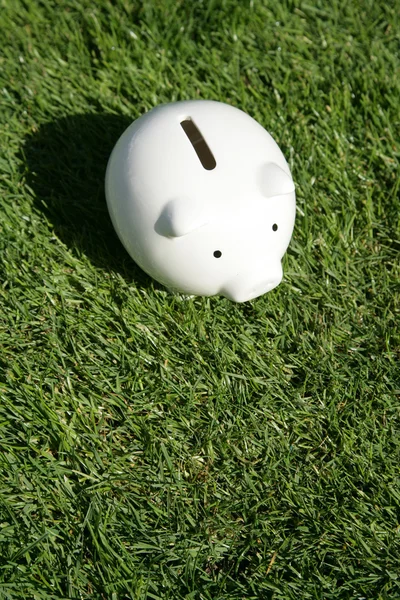 Piggy Bank and green grass — Stock Photo, Image