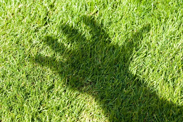 Zöld fű és a kéz árnyéka — Stock Fotó