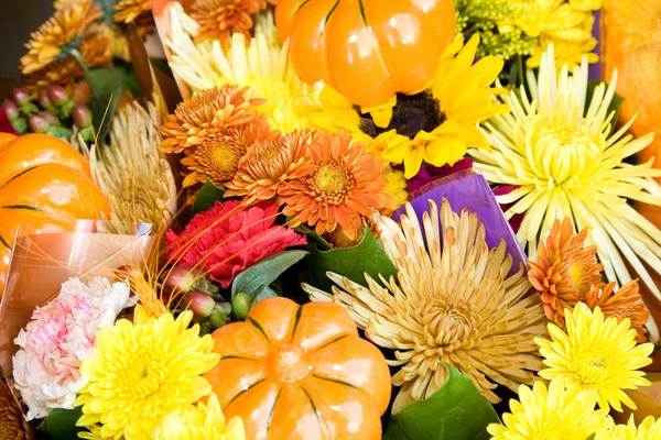 Őszi virágok — Stock Fotó
