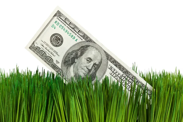 Dolar i trawa zielona — Zdjęcie stockowe