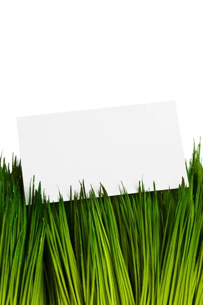 Visitkort och grönt gräs — Stockfoto