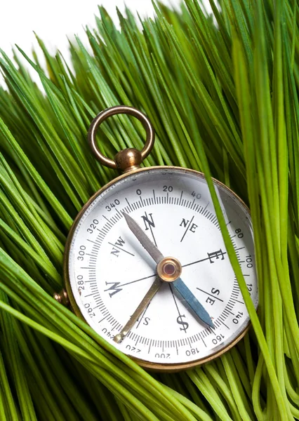 Compass and Green Grass — Stock Photo, Image