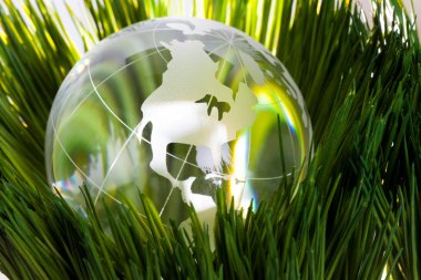 Globe and green grass clipart