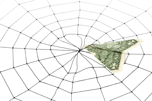 Spinnenweb en dollar — Stockfoto