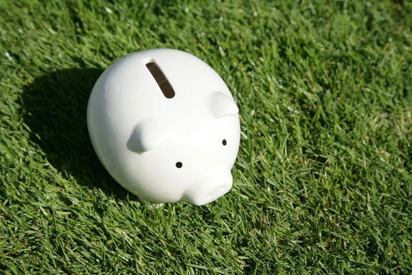 Piggy Bank and green grass — Stock Photo, Image
