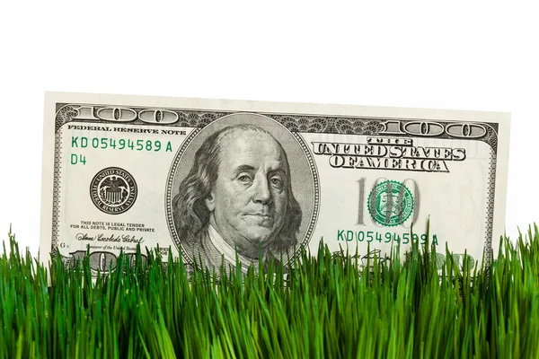 달러와 푸른 잔디 — 스톡 사진