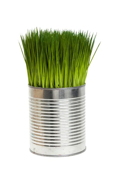 Green grass and metal can — Stock Photo, Image