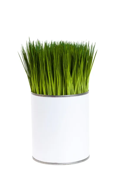 Zelené trávy a plechové bedny — Stock fotografie