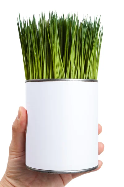 Zelené trávy a plechové bedny — Stock fotografie