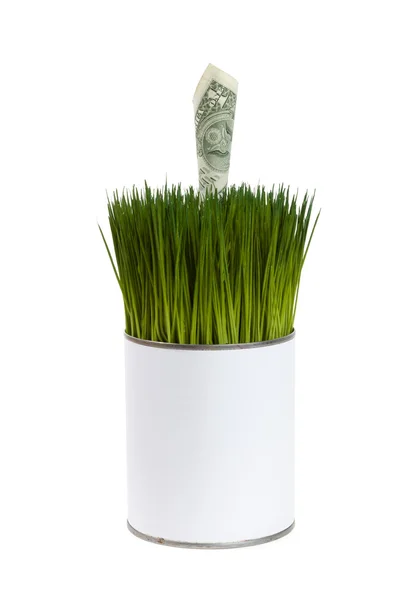 Zielona trawa i Dolar — Zdjęcie stockowe