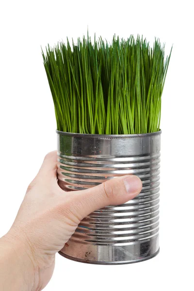 緑の草や金属缶 — ストック写真