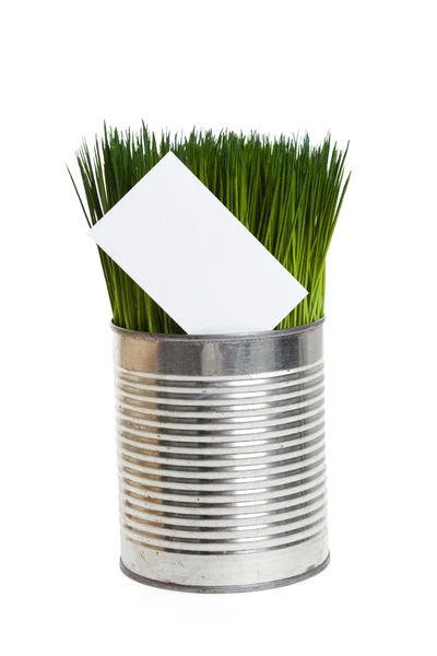 Зеленая трава и визитка — стоковое фото