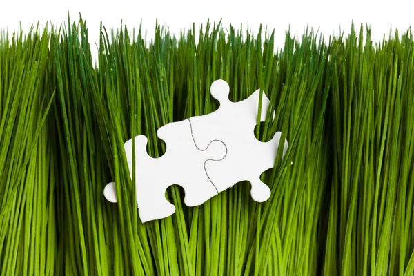 stock image Green grass and Puzzle