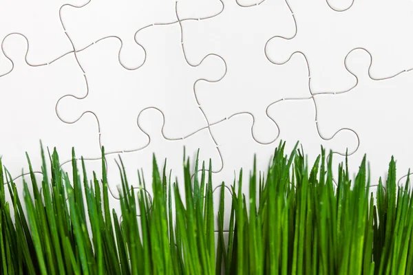 Erba verde e Puzzle — Foto Stock