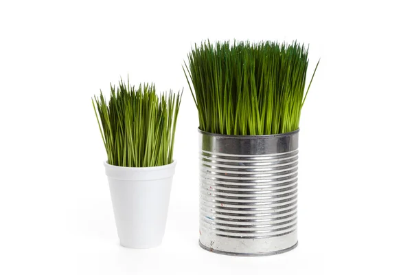 緑の草や金属缶 — ストック写真