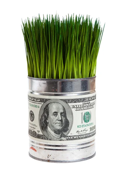 Groen gras en dollar — Stockfoto