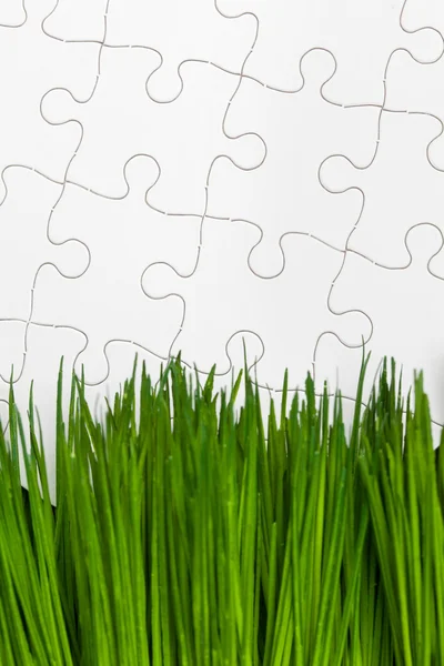 Grama verde e Puzzle — Fotografia de Stock