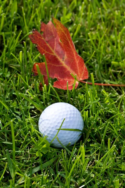 М'яч для гольфу і трава — стокове фото