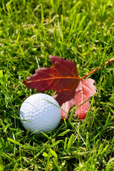 Pallone da golf ed erba — Foto Stock