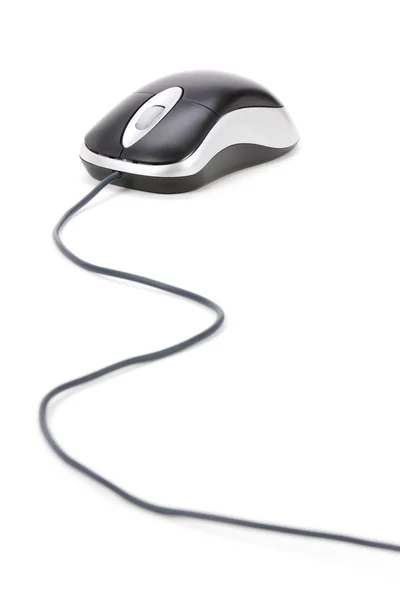Computer Mouse Stock Picture
