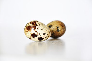 İki bıldırcın yumurtası.