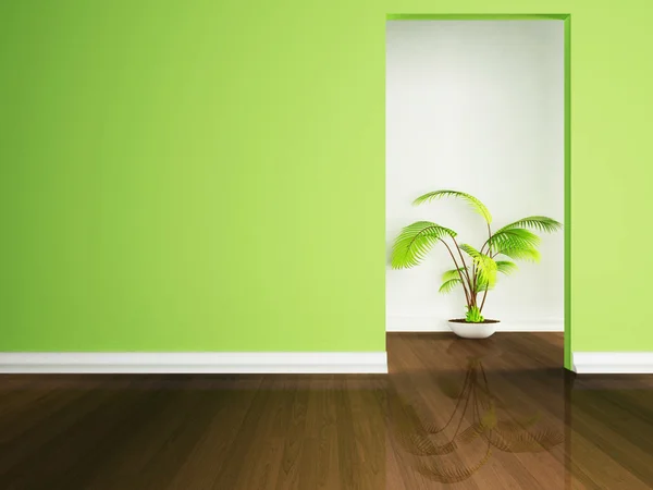 Beautiful plant on the floor in an empty room — Stock Photo, Image