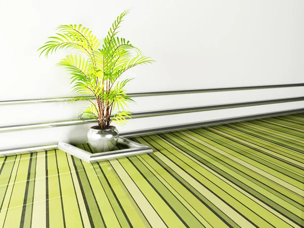 A plant in the interior — Stock Photo, Image